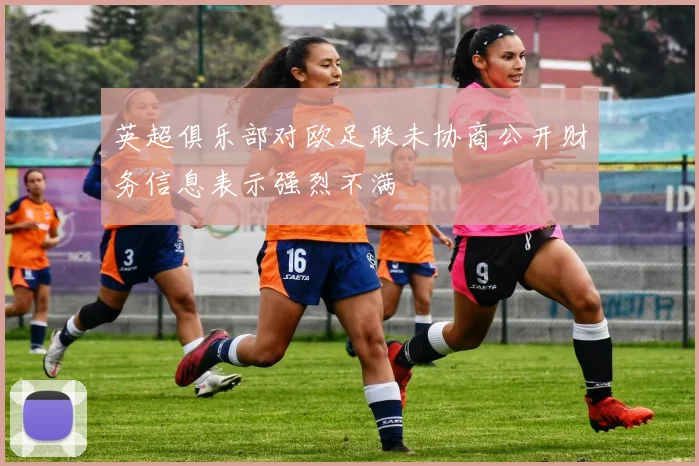 英超俱乐部对欧足联未协商公开财务信息表示强烈不满