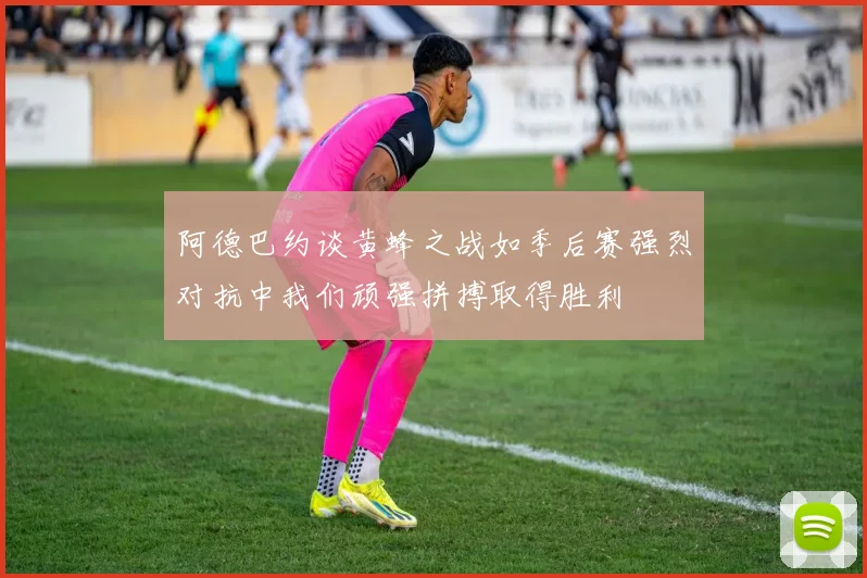 阿德巴约谈黄蜂之战如季后赛强烈对抗中我们顽强拼搏取得胜利