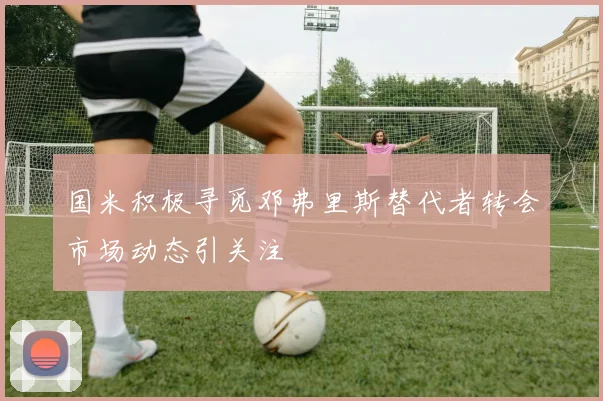 国米积极寻觅邓弗里斯替代者转会市场动态引关注