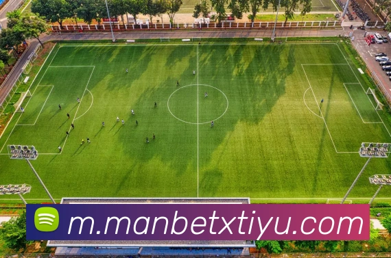 万博体育APP 封面图